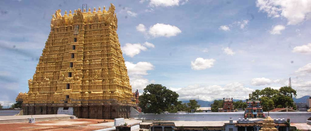 Arulmigu Sankaranarayanaswamy Temple Sankarankovil